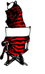 zebra.jpg